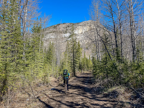 Biking the Clearwater Trail towards Forty Mile Cabin.