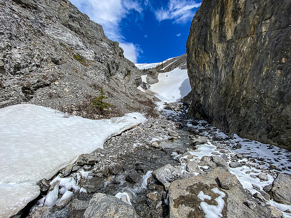 The hidden gully looks good so far!