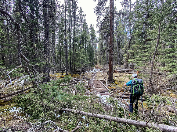 Hiking up the Clearwater Trail.