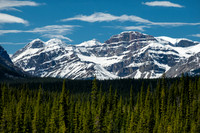Distant views of South Tower, Crown, Willingdon and Mount Harris.