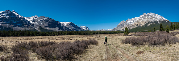The amazing Harrison Flats meadows under Forbidden (L) and Lost Guide Peak (R).
