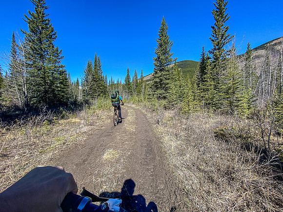 The Clearwater Trail stays surprisingly muddy on sections of the river flats.
