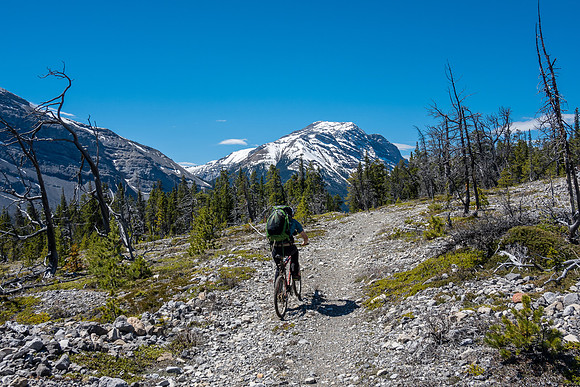 Phil bikes the last bit of our ride over the SE shoulder of Lost Guide.