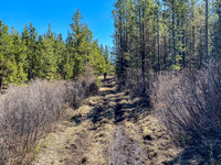 The trail is not all easy cruising.