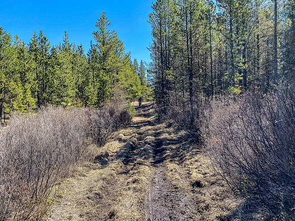 The trail is not all easy cruising.