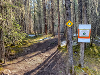 OHV's can't go further than this - this trail accommodates them ("CC3").