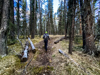 Hiking up the Clearwater Trail.