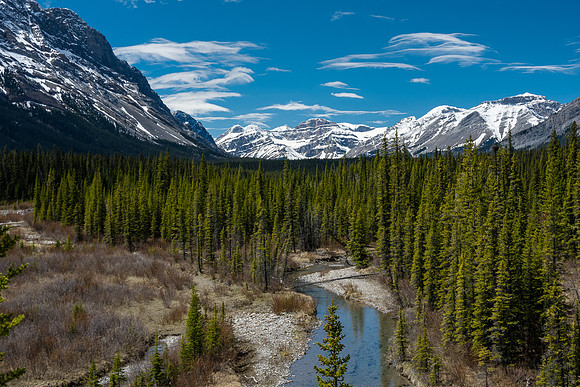 Distant views of South Tower, Crown, Willingdon and Mount Harris. Malloch at right.