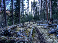 Continuing up the Clearwater Trail.