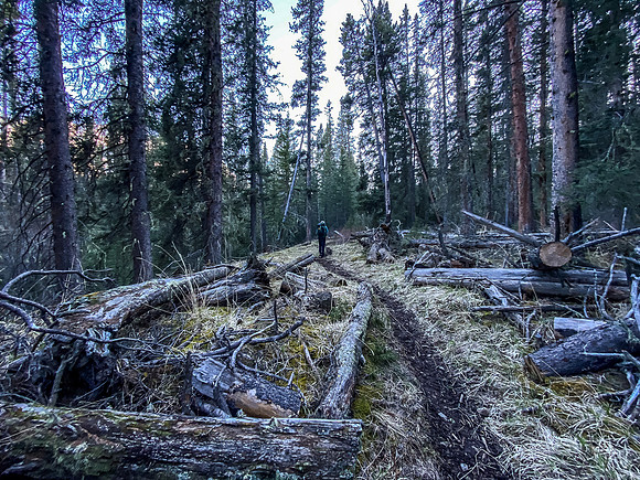 Continuing up the Clearwater Trail.