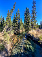 The first of only two bridged crossings is over a lovely clear Cutoff Creek.