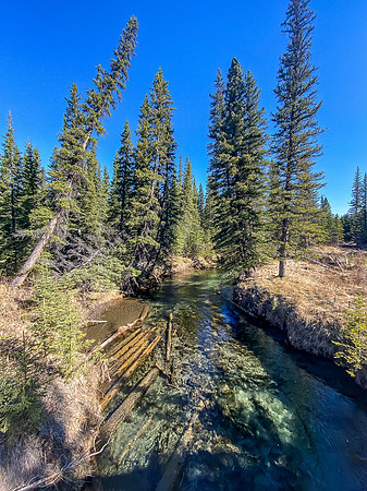 The first of only two bridged crossings is over a lovely clear Cutoff Creek.