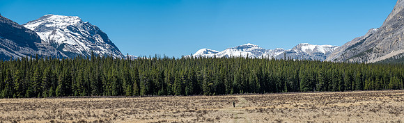 Phil bikes across the open Harrison Flats. Mount Peters rising at left.