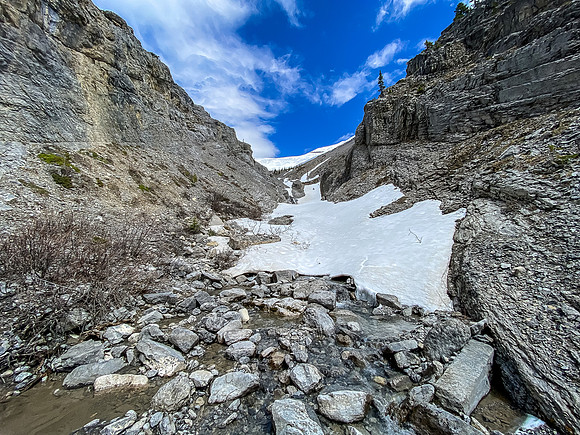 The hidden gully looks good so far!