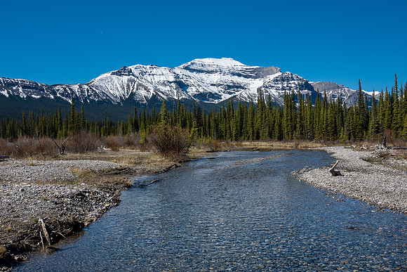 Forbidden Peak rises over the Clearwater River.