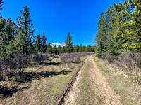 Most forks in the trail either lead to nearby camps or are simply small deviations.