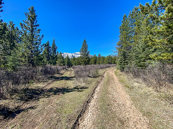 Most forks in the trail either lead to nearby camps or are simply small deviations.