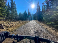 Recent snow has turned the road into slick mud.