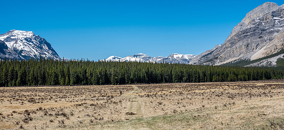 Phil bikes across the open Harrison Flats. Mount Peters rising at left.
