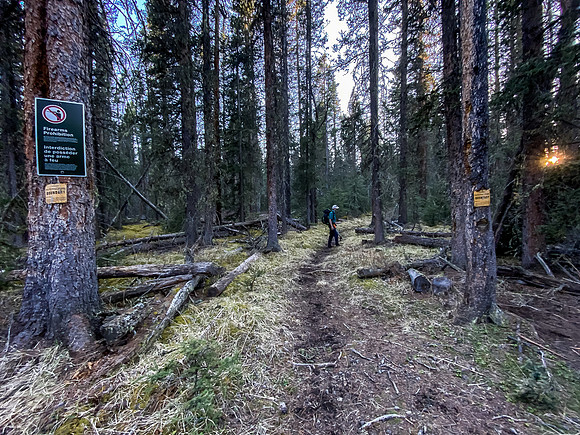 The eastern Banff boundary along the Clearwater Trail.
