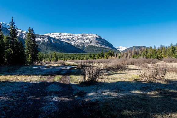 An outlier of Scalp Peak over the meadow near CC4.