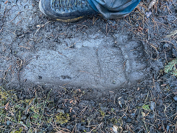 They don't make 'em small way out here!