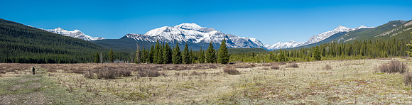 Forbidden Peak rises over the meadows at the Forty Mile Cabin. Lost Guide at distant right.