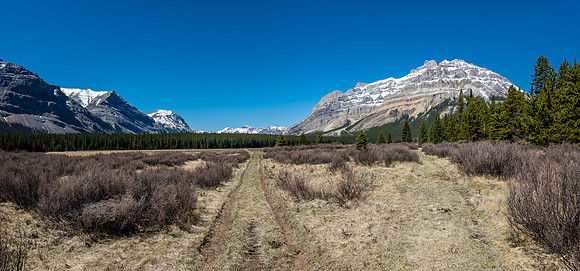 The start of Harrison Flats.