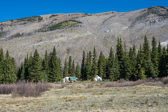 A horse camp at the Forty Mile Cabin meadows.