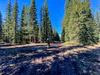 Biking the Clearwater Trail towards Forty Mile Cabin. Passing "CC5".