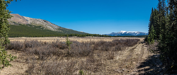 Looking back across Harrison Flats. There's a "Rum Punch Creek" flowing somewhere through here.