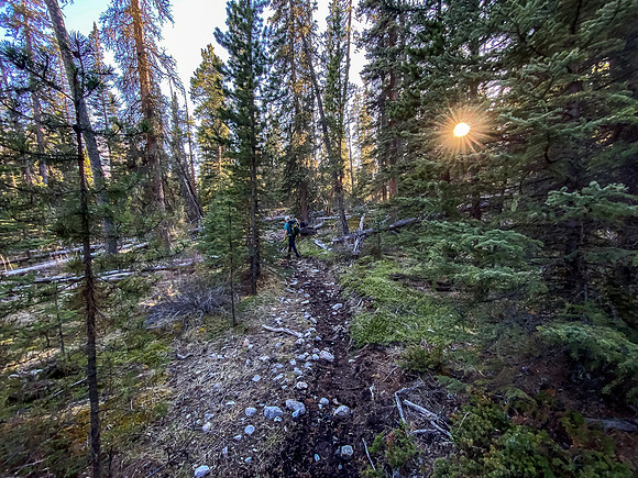 Back on the Clearwater Trail as the late afternoon sun casts long shadows through the forest.