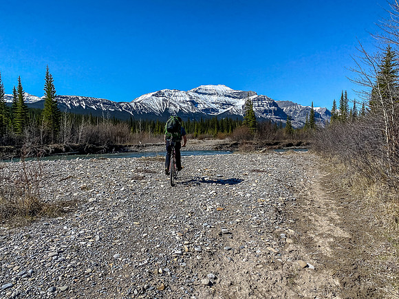 Biking the river flats towards a distant Forbidden Peak.