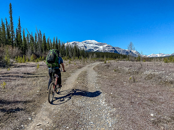 Biking the river flats towards a distant Forbidden Peak.