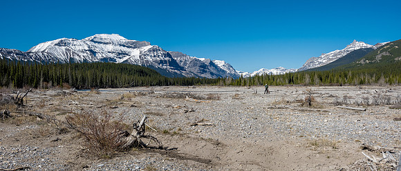 Biking the river flats towards a distant Forbidden Peak. Lost Guide at right.