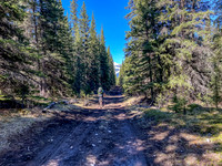 Biking the Clearwater Trail towards Forty Mile Cabin.