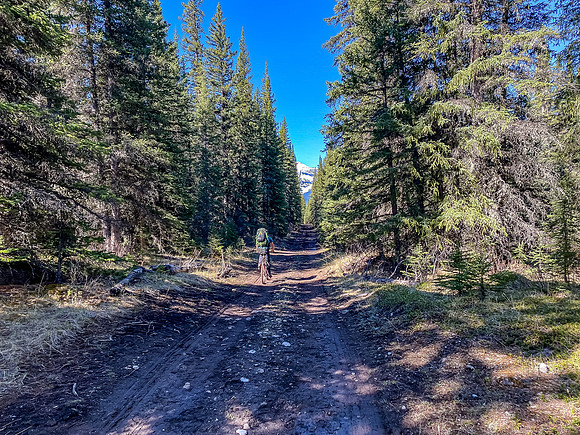 Biking the Clearwater Trail towards Forty Mile Cabin.