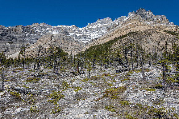 The south towers of Lost Guide loom over the SE shoulder.