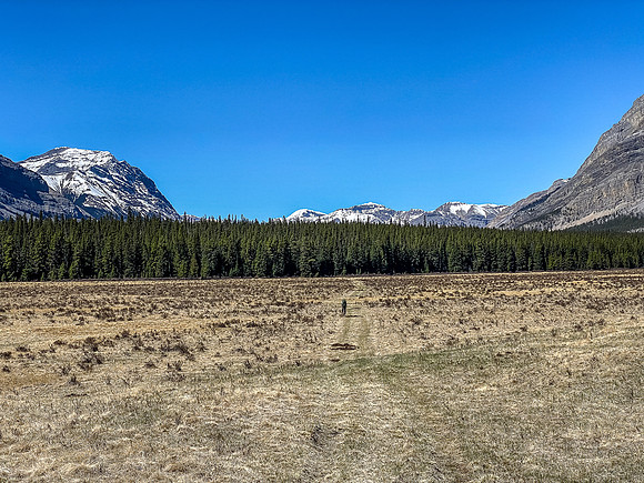 Phil bikes across the open Harrison Flats. Mount Peters rising at left.
