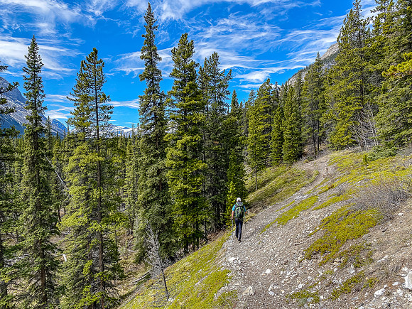 Hiking up the Clearwater Trail.