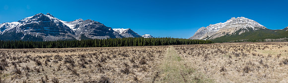 The amazing Harrison Flats meadows under Forbidden (L) and Lost Guide Peak (R).