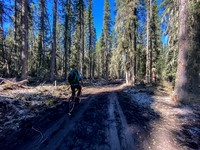 Biking the Clearwater Trail towards Forbidden Creek.