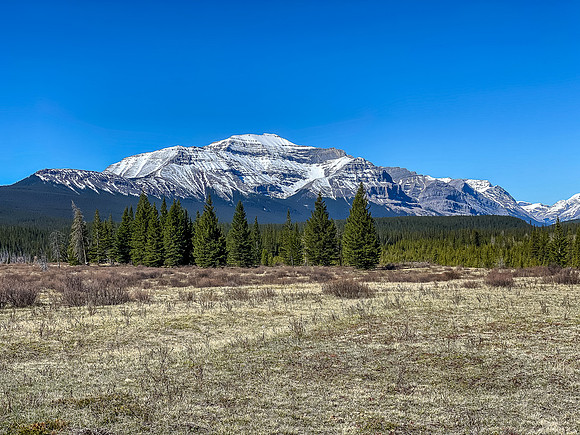 Forbidden Peak.