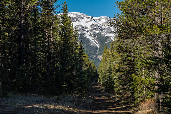 It's many kms just to reach the mountains from the staging area.