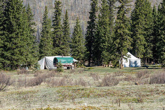 A horse camp at the Forty Mile Cabin meadows.