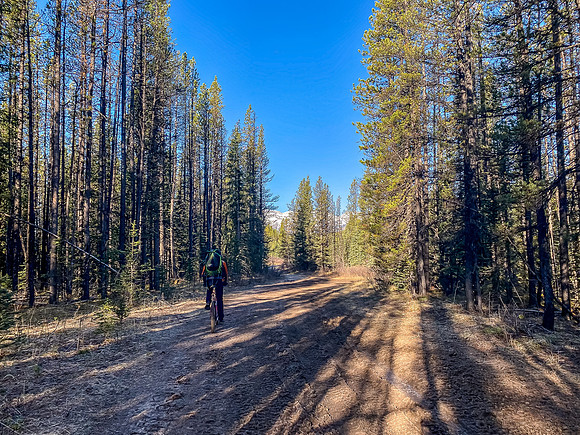 Biking the North Cutoff Creek Trail.