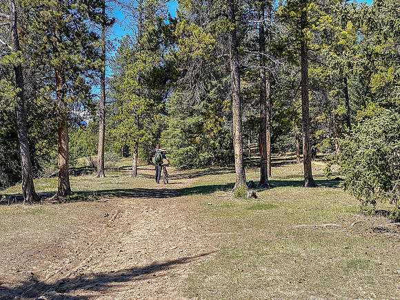 There were at least 3 or 4 horse camps along the Clearwater Trail.