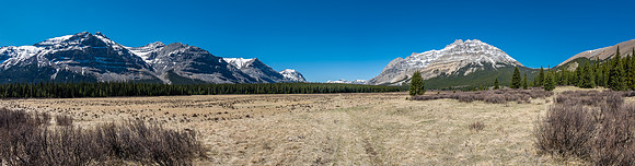 The amazing Harrison Flats meadows under Forbidden (L) and Lost Guide Peak (R).