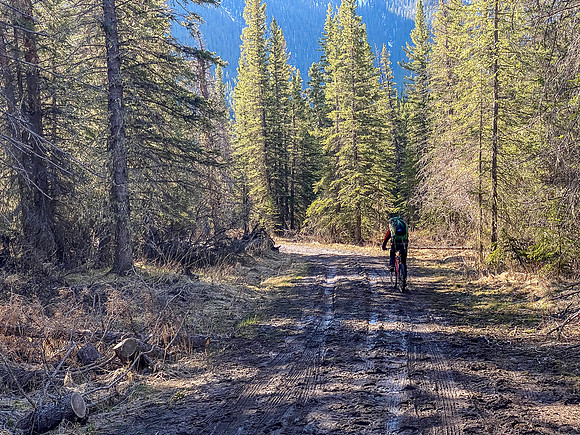 Recent snow has turned the road into slick mud.