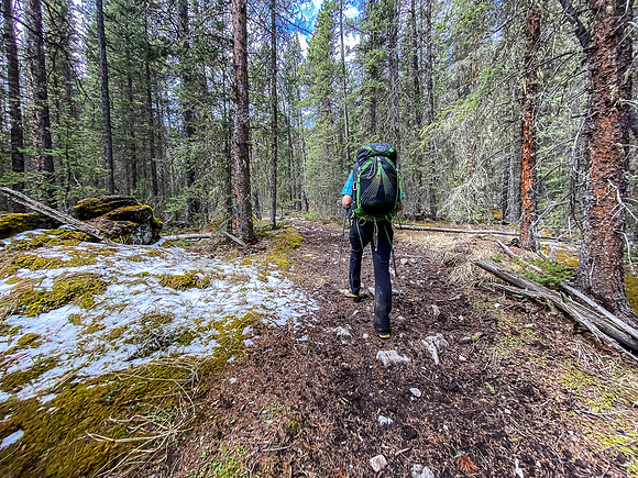 Hiking up the Clearwater Trail.